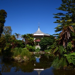 2017-03 New Zealand/Rotorua/DSC_0050.JPG